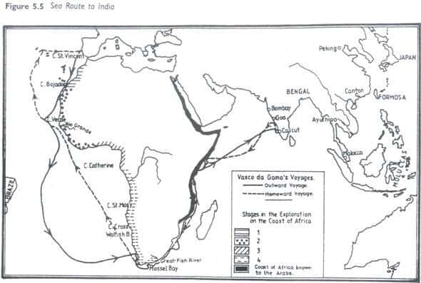 Chorology Unveiling the Patterns of Earth's Diversity