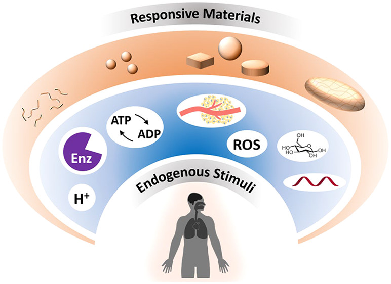 Endogenous Unveiling Nature's Inner Dynamics